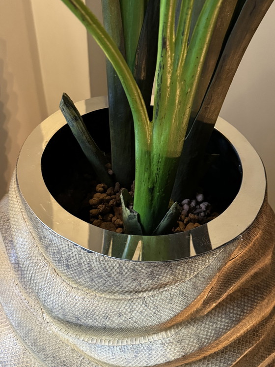 Image 1 of Eric Kuster Snake leather plant pot