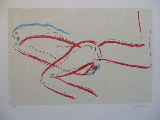 Image 1 of Peter Diem -Abstract Nude. Gr Silkscreen Hand signed.