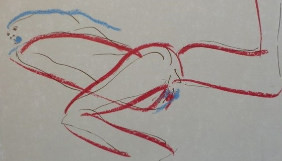 Image 1 of Peter Diem -Abstract Nude. Gr Silkscreen Hand signed.