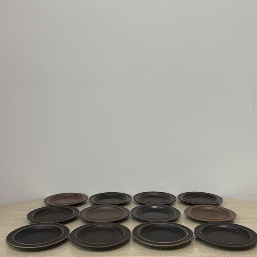 Set Of 9 Arabia Ruska Plates 