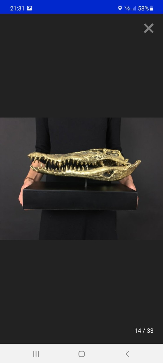 Image 1 of Crocodile Skull Of Brass (New)
