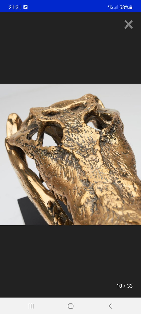 Image 1 of Crocodile Skull Of Brass (New)