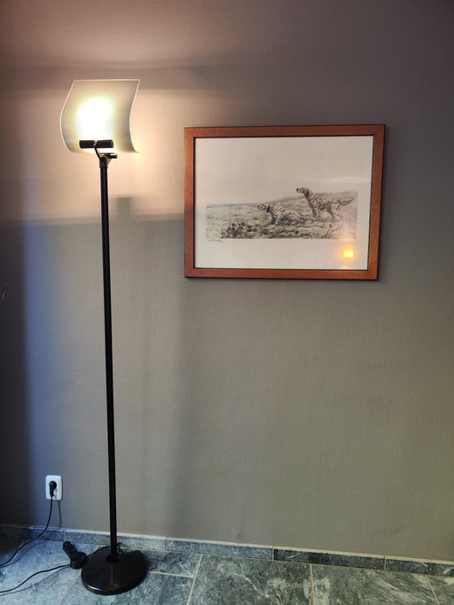 Prandina Black Floor Standing Floor Lamp