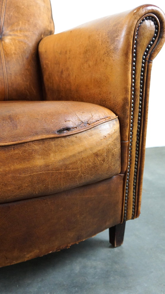 Image 1 of Sheep leather armchair with a tough look