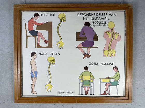 Image 1 of 22 poster scolastici vintage "anatomia" in cornice intercambiabile