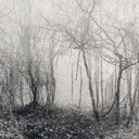 Ralph Janowski - tirage photo sans titre
