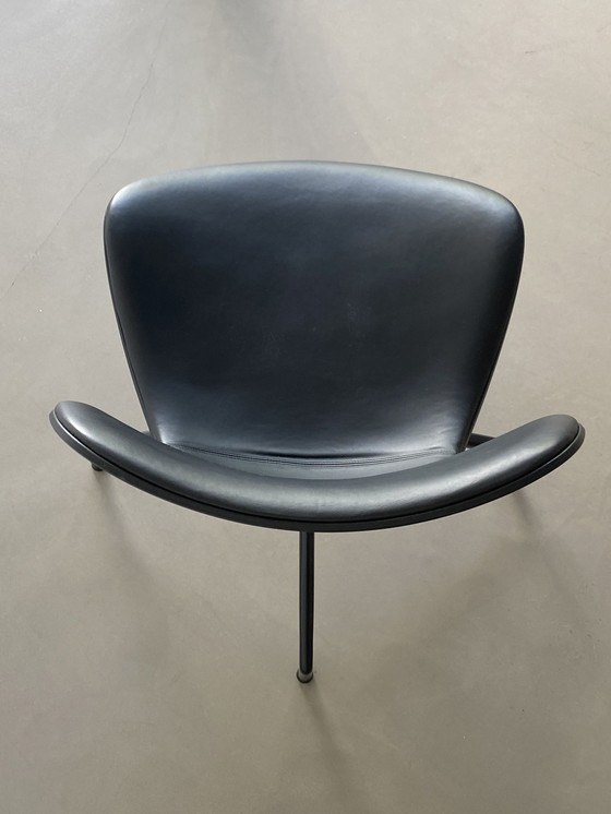 Image 1 of 3X B&B Italia - Papilio Shell Chairs - Black Leather