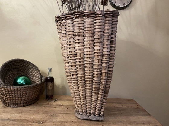 Image 1 of Cesto di raccolta Cesto di uva Cesto di vendemmia francese