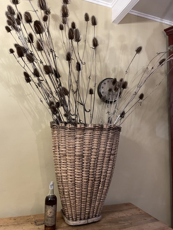 Image 1 of Cesto di raccolta Cesto di uva Cesto di vendemmia francese