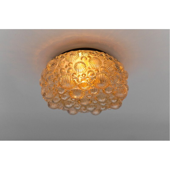 Image 1 of Lampada da soffitto rotonda vintage in vetro ghiacciato e metallo a forma di conchiglia fossile tridimensionale, 1960