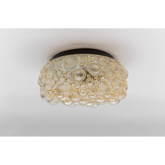 Image 1 of Lampada da soffitto rotonda vintage in vetro ghiacciato e metallo a forma di conchiglia fossile tridimensionale, 1960