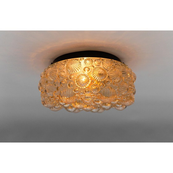 Image 1 of Lampada da soffitto rotonda vintage in vetro ghiacciato e metallo a forma di conchiglia fossile tridimensionale, 1960