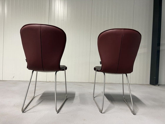 Image 1 of 2 nouvelles chaises Bert plantagie Blake