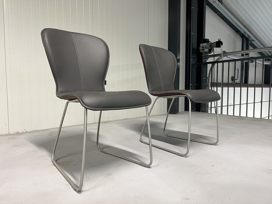 Image 1 of 2 nouvelles chaises Bert plantagie Blake