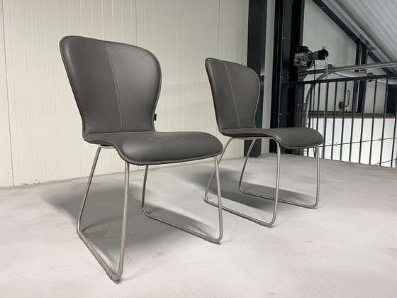 Image 1 of 2 nouvelles chaises Bert plantagie Blake