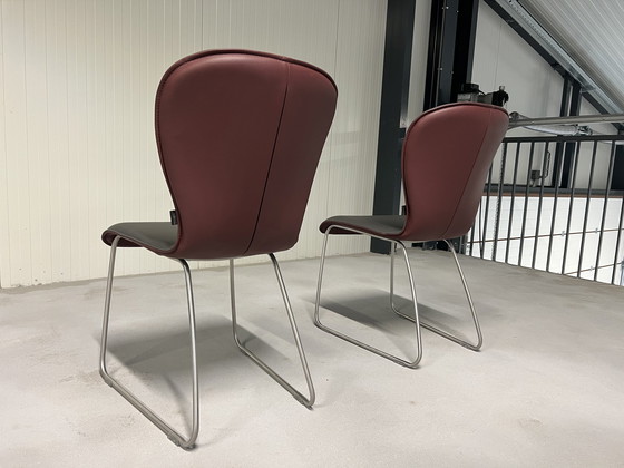 Image 1 of 2 nouvelles chaises Bert plantagie Blake