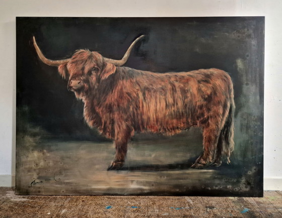 Image 1 of Nanouk Weijnen - Scottish Highlander XL