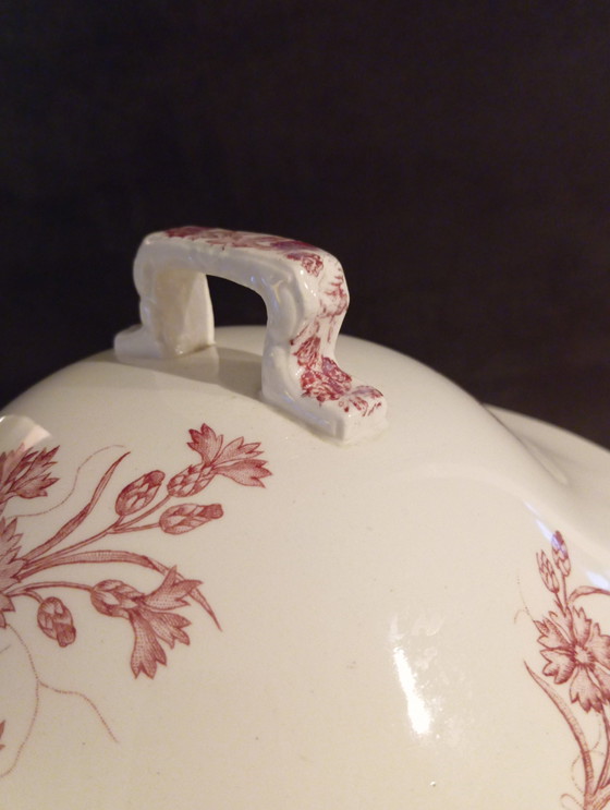 Image 1 of Antique Round Soup Tureen Model Bluets De Longchamp End Xixeme