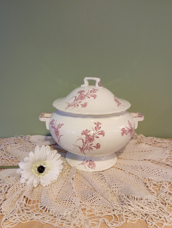 Image 1 of Antique Round Soup Tureen Model Bluets De Longchamp End Xixeme