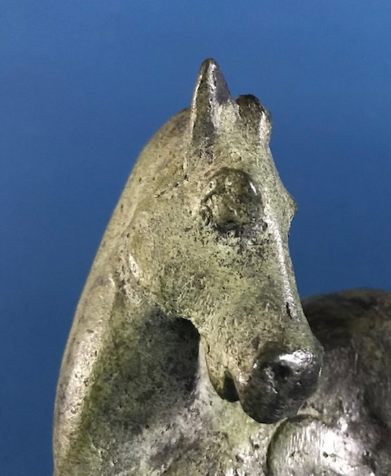 Image 1 of Torse du cheval d'Evert den Hartog