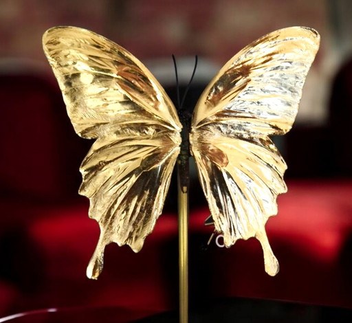 Genuine Papilio Butterfly Gilded In 23Ct Gold Under Glass Dome