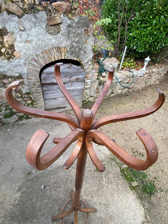 Image 1 of 1960 Swivel Parrot Coat Hanger Curved Wood