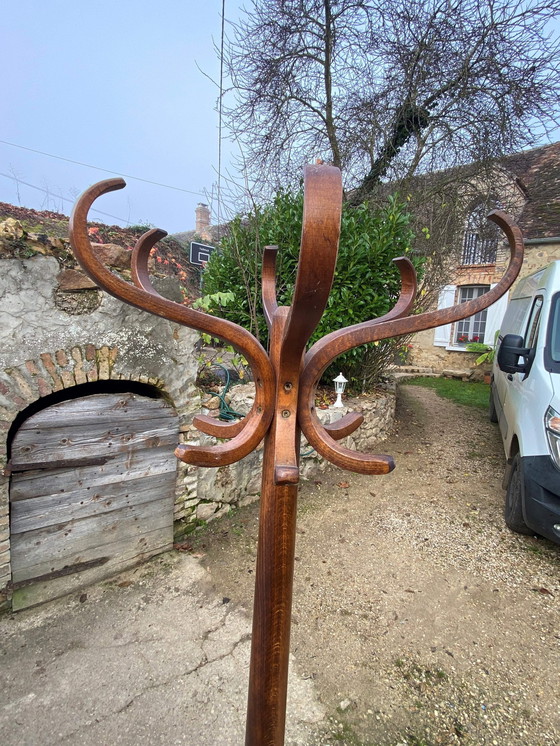 Image 1 of 1960 Swivel Parrot Coat Hanger Curved Wood