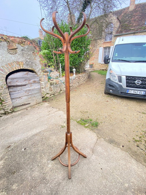 1960 Swivel Parrot Coat Hanger Curved Wood