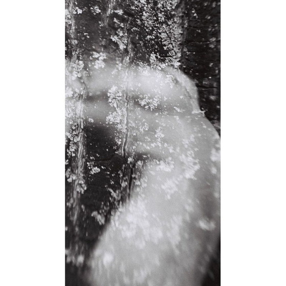 Image 1 of Dipinto vintage Mouvements Naturels 03 di Meïdhy Bichon, 2019