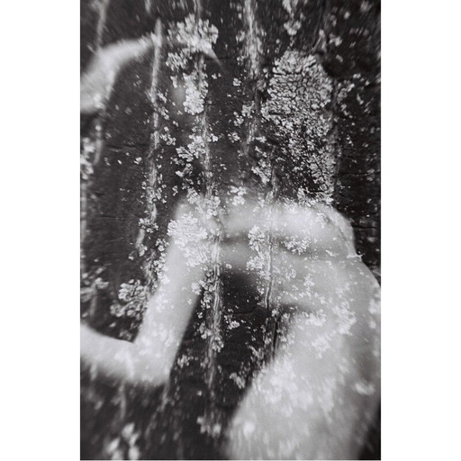 Cuadro vintage Mouvements Naturels 03 de Meïdhy Bichon, 2019