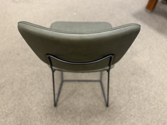 Image 1 of 1 Bert plantagie Kiko cuir vert