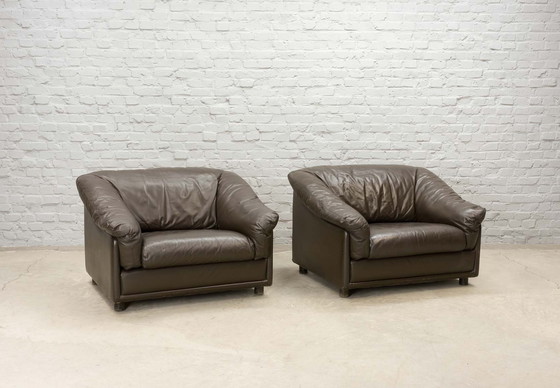 Image 1 of Confortables fauteuils de salon en cuir brun Leolux Seal, ensemble de deux. Pays-Bas, 1970.