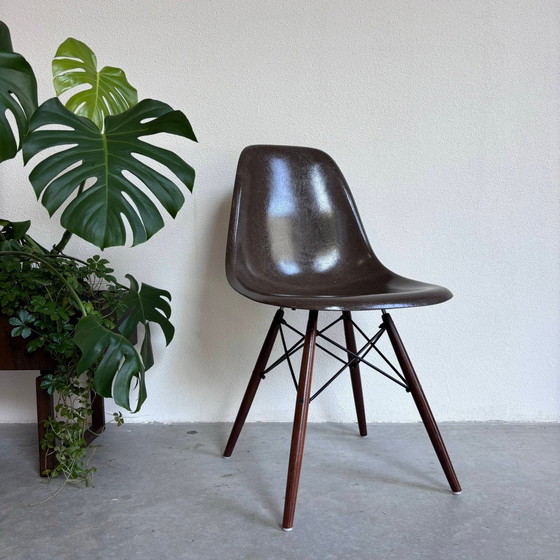 Image 1 of Dsw Chair Charles & Ray Eames