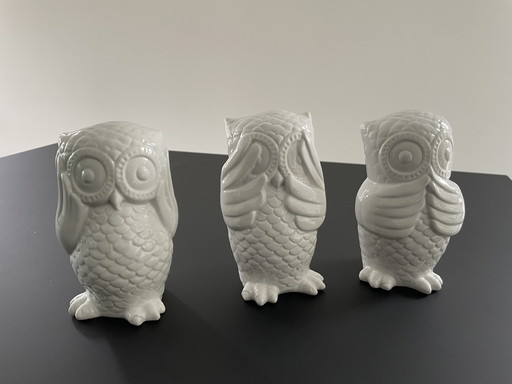 3 Wise Owls 'Hear, See and Speak No Evils' - Fun Design