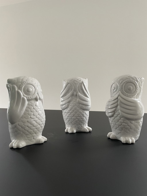 3 Wise Owls 'Hear, See and Speak No Evils' - Fun Design