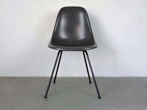 Vitra Dsx Original Glass Fiber Seat Shell In Navy Blue Design Charles Eames B