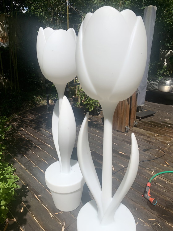 Image 1 of 2x lampes Tulip XL