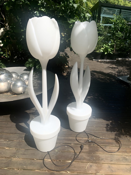 Image 1 of 2x lampes Tulip XL