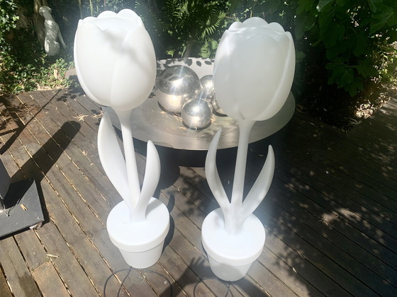 Image 1 of 2x lampes Tulip XL