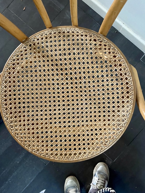 Image 1 of Vintage Habitat Bentwood Dining Chairs With Armrests