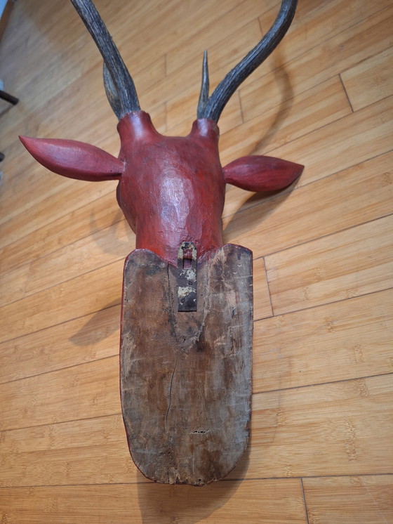 Image 1 of Solid Wood Deer Head With Real Antlers, Java, Indonesia