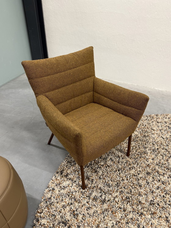 Image 1 of Label Vandenberg Cocoon Armchair Berbero Fabric