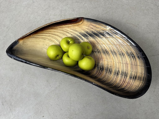 Vintage Bowl - Xl Mussel Shell Plastic