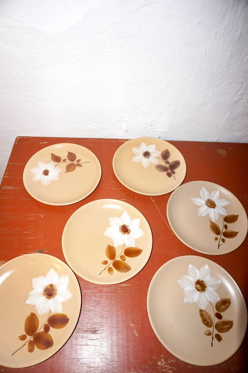 6 X Gres Flat Plates Saint Amand Moulin Des Loups Brown White Autumn Flower Model