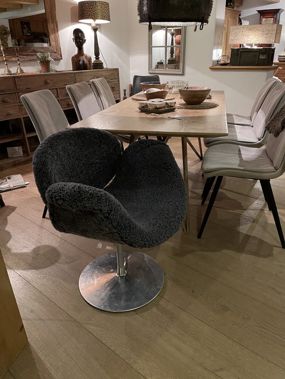 Image 1 of Artifort Little tulip Pierre Paulin chair peau d'agneau anthracite