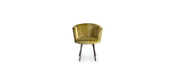 Image 1 of 4x DIVA arm chair