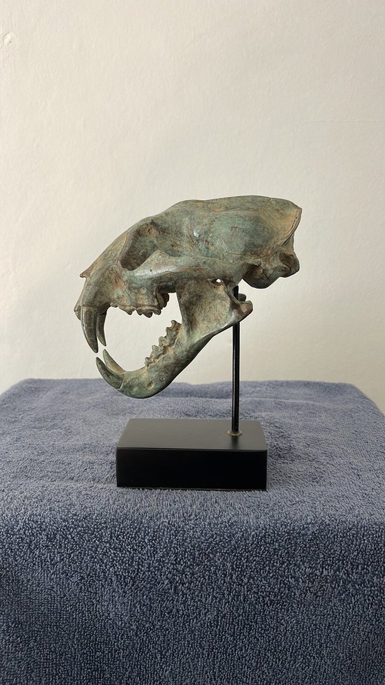 Image 1 of Bronze Head Leopard