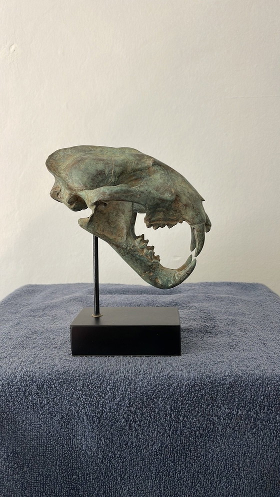 Image 1 of Bronze Head Leopard