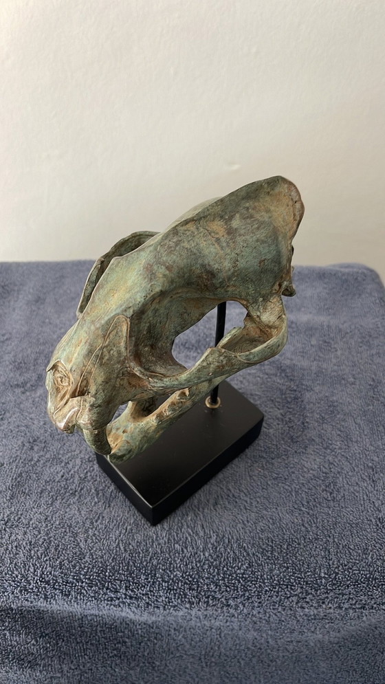 Image 1 of Bronze Head Leopard