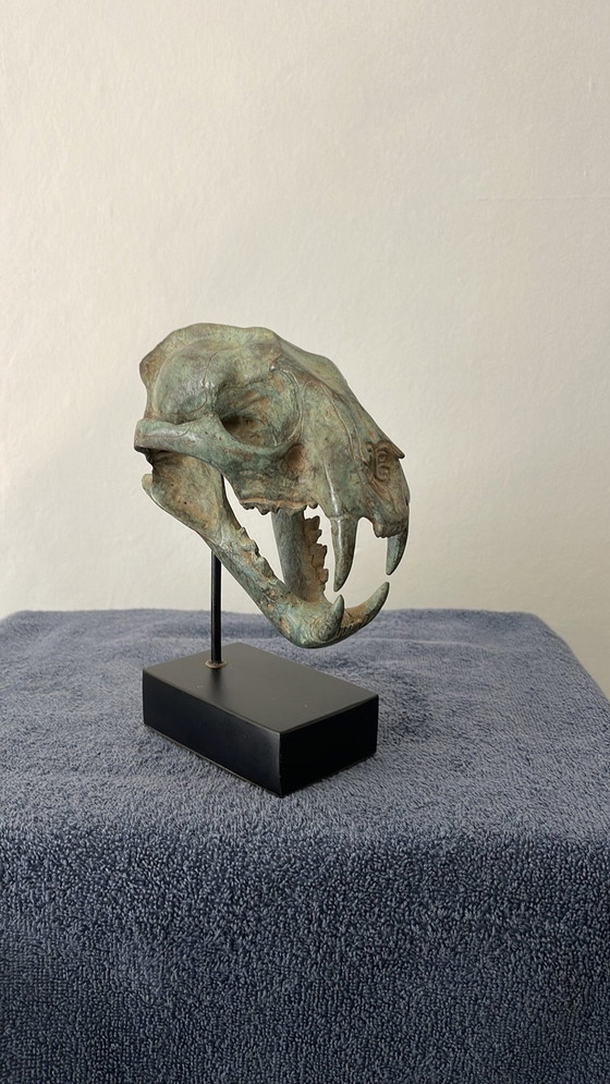 Image 1 of Bronze Head Leopard